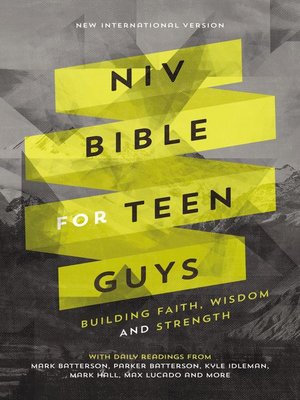 cover image of NIV, Bible for Teen Guys